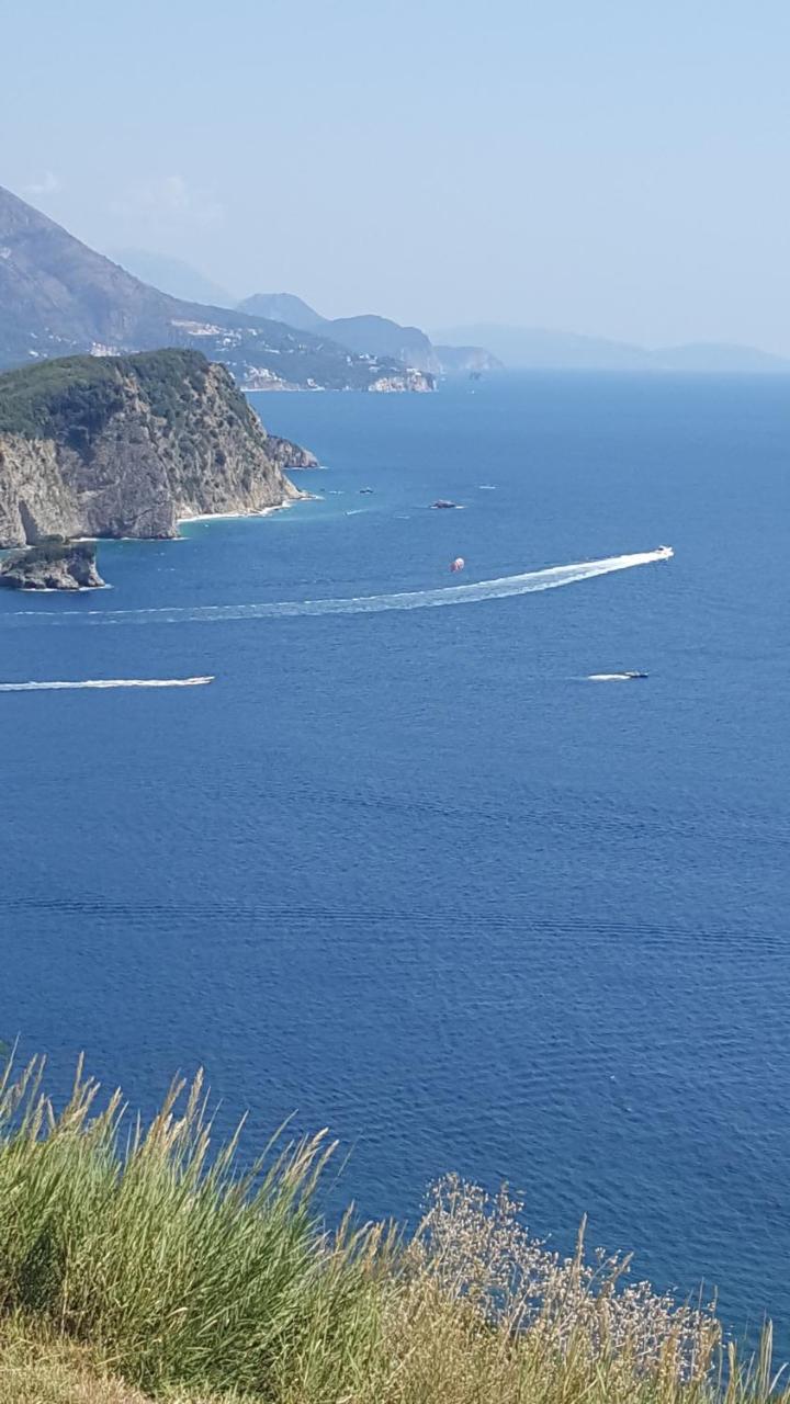 Altezza Relax Apartments Budva Dış mekan fotoğraf